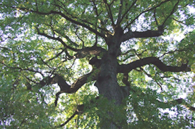 La cinquantaine Courtes nouvelles littéraires La cinquantaine